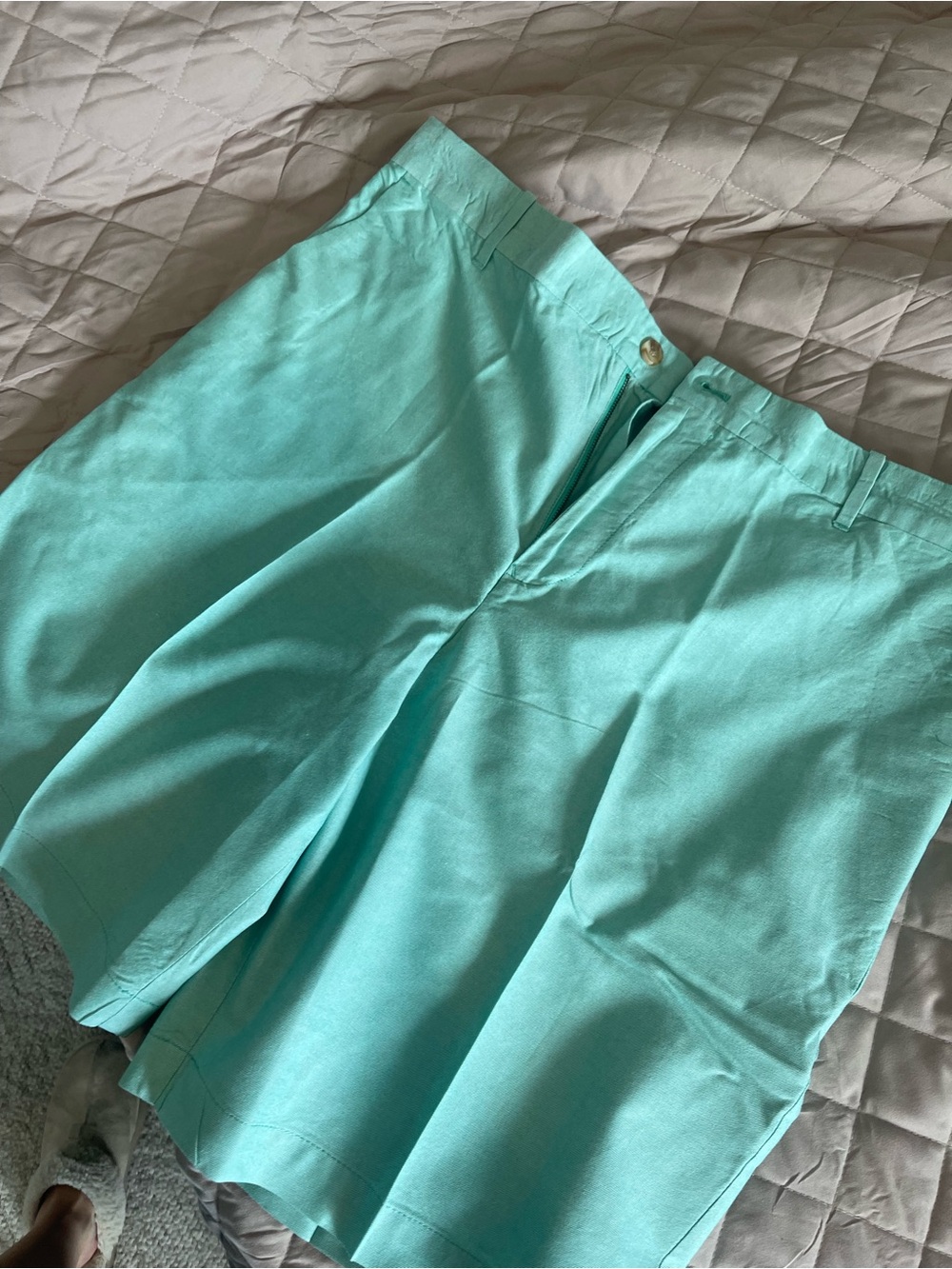 Izod Men's Mint Green Flat Front Chino Shorts